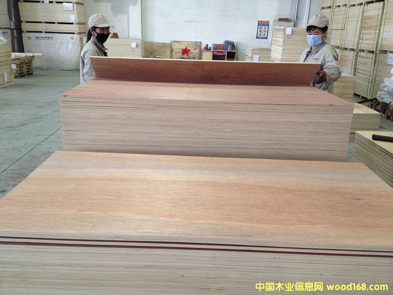 ���ǹ��z�ϰ��Ԕ��(x��)��B