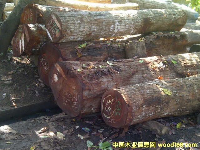 ӡ���һ�оľ��Ԕ��(x��)��B