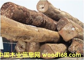 �̈́ڵ�Ԕ����B