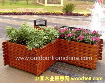 �c���鿴��ľ���� ��ľ���۷Ŵ�DƬ