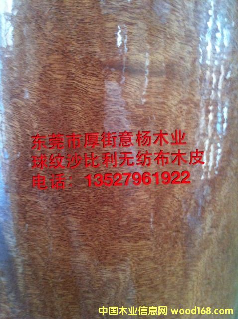 ��yɳ�����o����ľƤ��Ԕ��(x��)��B