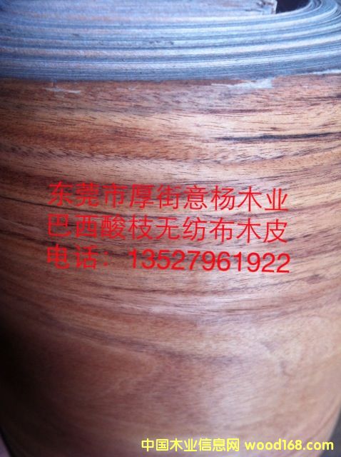 ������֦�o����ľƤ��Ԕ��(x��)��B