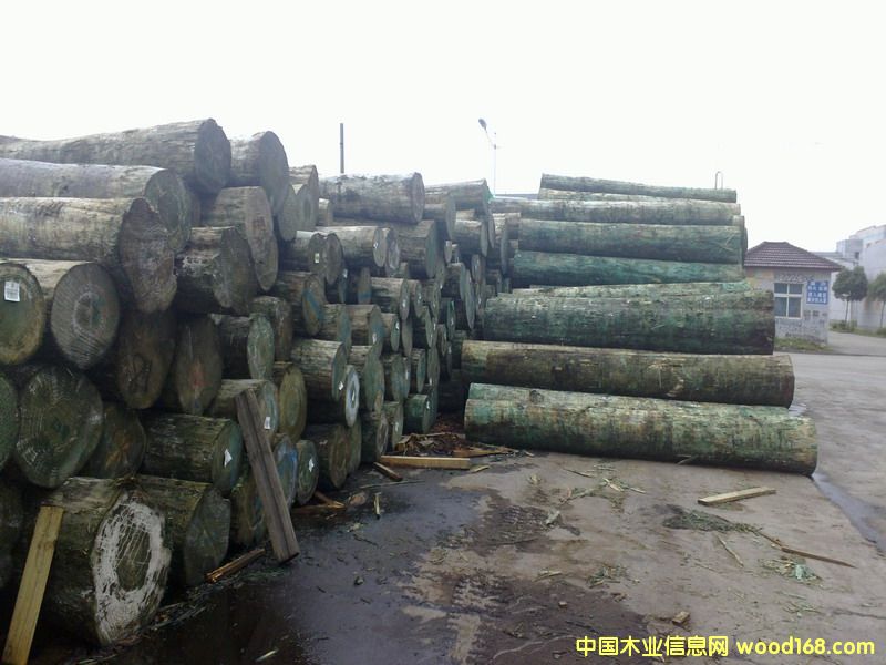 �����m�����o����ԭľ