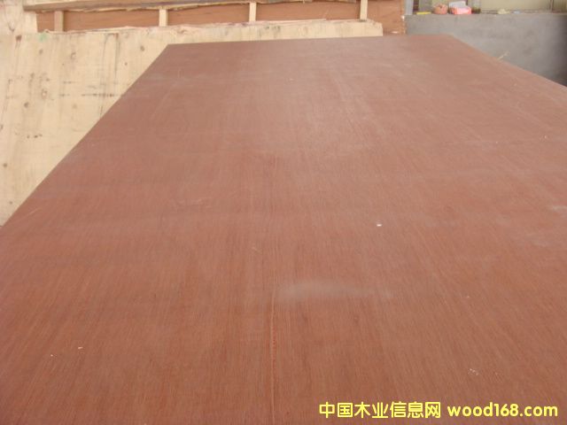 ���ǹ��z�ϰ�