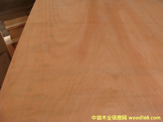 �W�����z�ϰ�