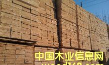 ���ô���ɼ