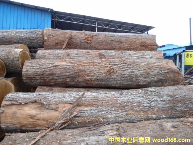 ���м�����ԭľ