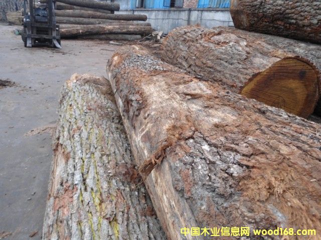 ���м�(j��)����ԭľ