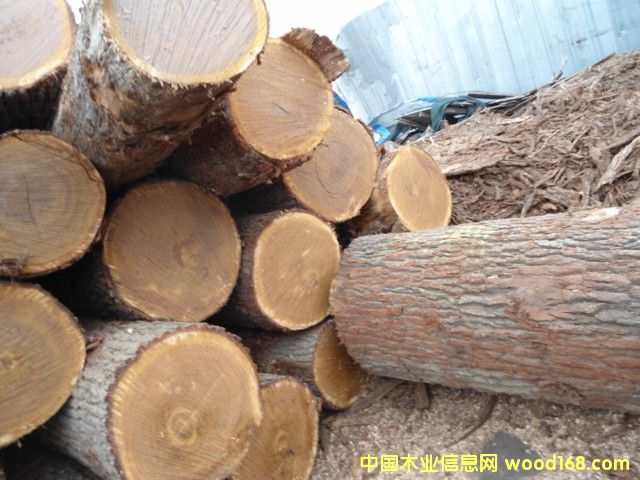 ���м�����ԭľ