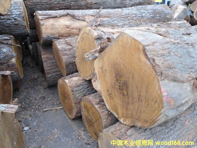 ���м�����ԭľ