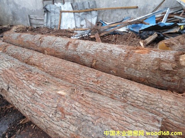 ���м�(j��)����ԭľ