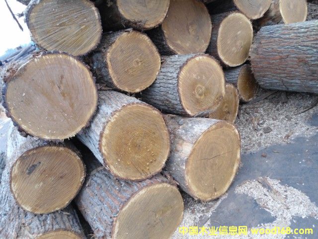 ���м�����ԭľ