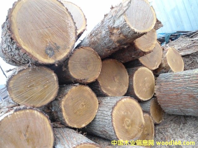 ���м�(j��)����ԭľ