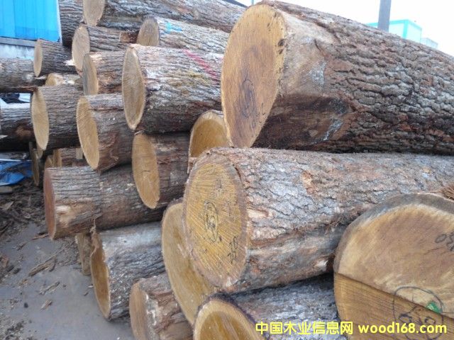 ���м�(j��)����ԭľ