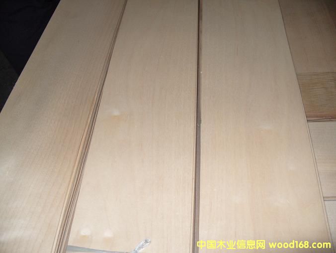 0.6�ӗ��ذ�ľƤ