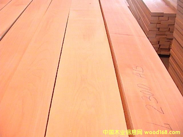 ��ľ�R߅��