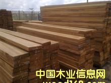 ɳ��������Ӱľ��