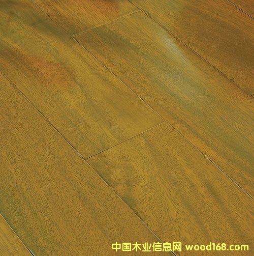 ����ľ��TER��TB��