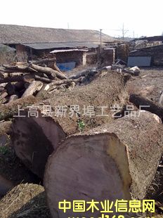 ���|����ľԭľ