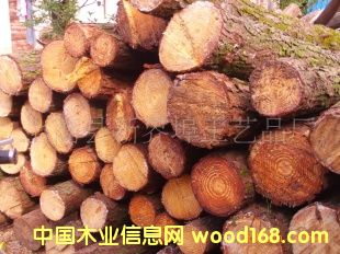 ���|���~��ԭľ