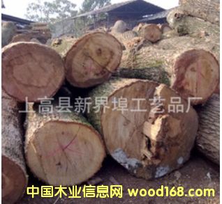 ���|��ľԭľ