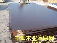 film faced plywood��Ԕ��(x��)��B