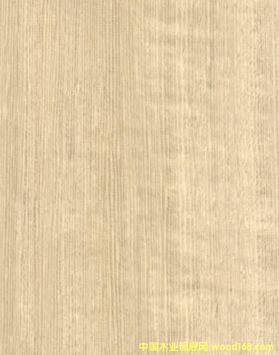 ��ľA��Ԕ����B