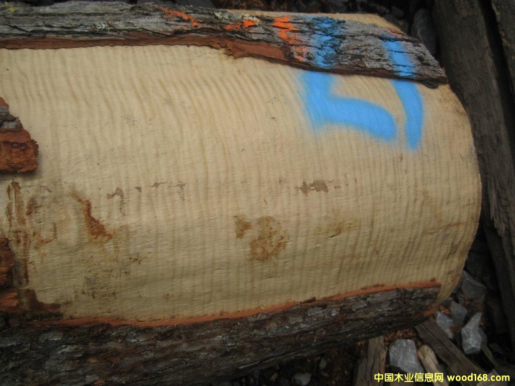 �Ź�Ӱ��ľ��Ԕ����B