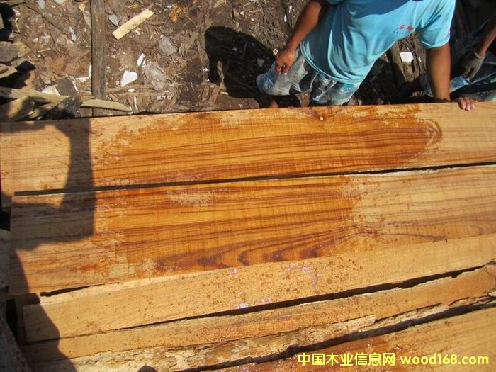 �ڽ���ľ��Ԕ����B