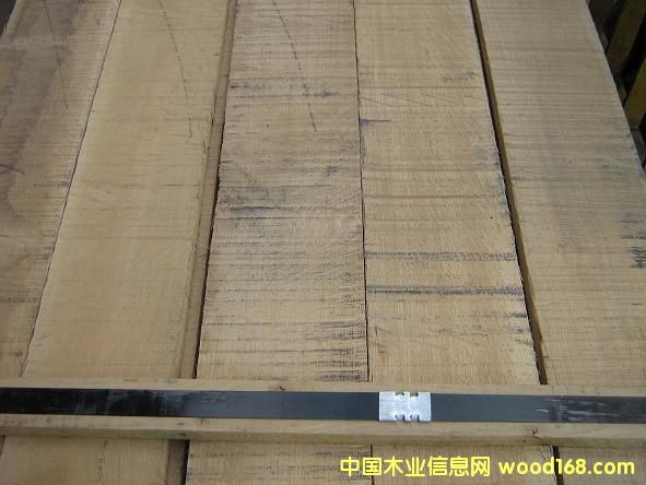 ֱ�y����ľ8