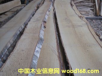 �|�W��ľ��ĵ�Ԕ����B