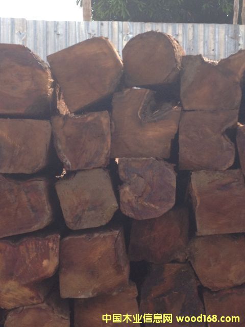 �����̴KOSSO