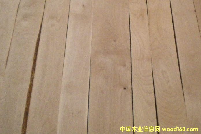 ����ľ��Ԕ����B