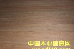 �ľֱƴ���Ԕ����B