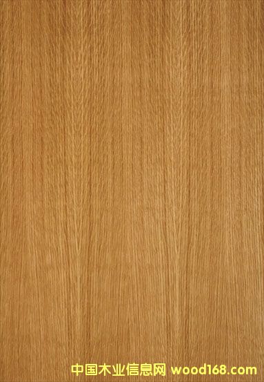 �t���Ԕ��(x��)��B