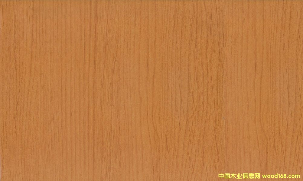 ����ľ��Ԕ��(x��)��B