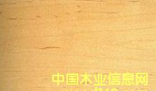 ܛ����Ԕ��(x��)��B