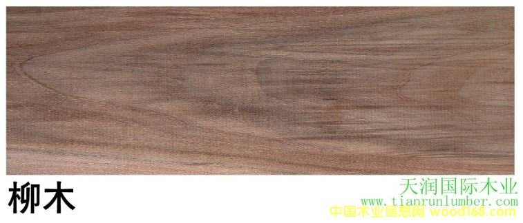 ��ľ��Ԕ����B