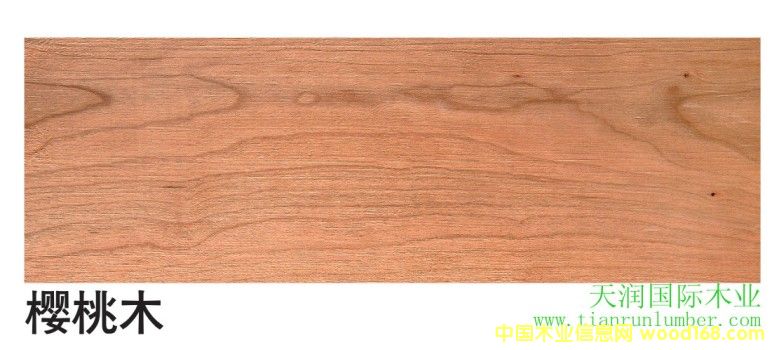 ����ľ&��������ľ��Ԕ����B