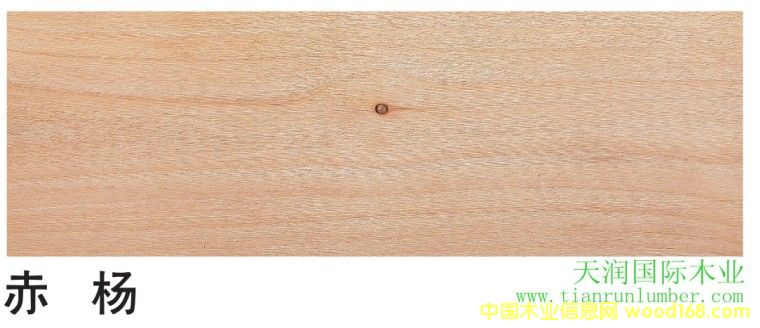 ����&��������ľ��Ԕ����B