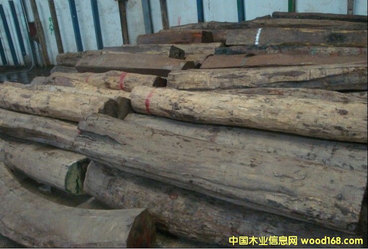 �ϓ�t��֦��Ԕ����B