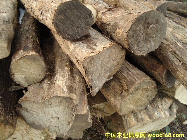 �S̴ľ��Ԕ��(x��)��B