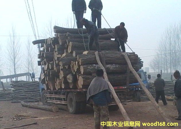 �����Ԕ����B