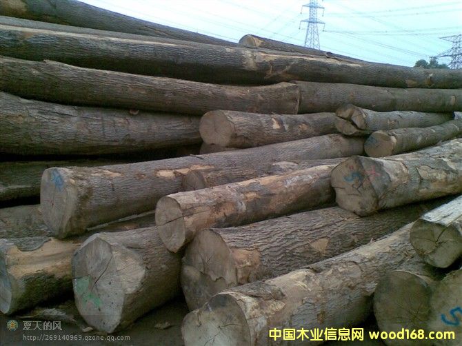 ��Ϟ?z��i)�ԭľ��Ԕ�?x��)��B