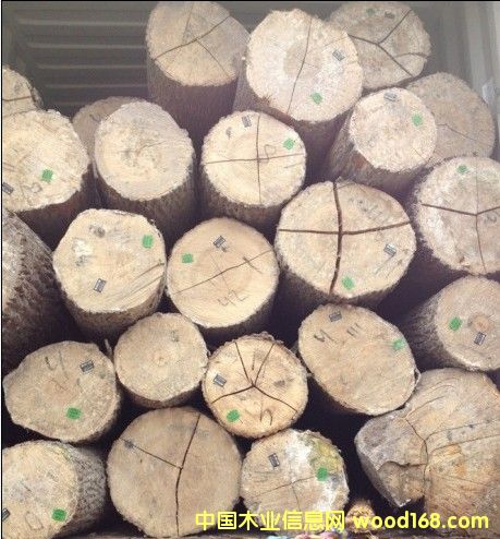 ��Ϟ?z��i)�ԭľ��Ԕ�?x��)��B