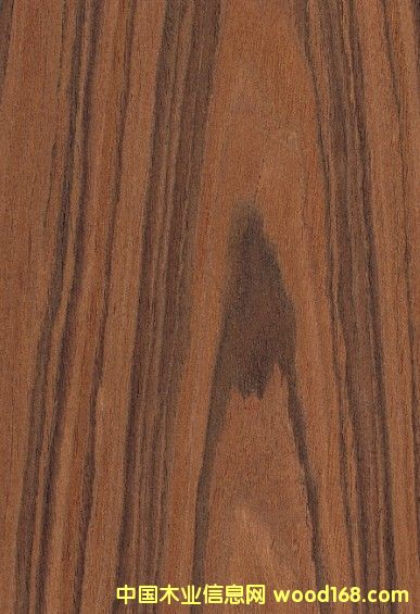 ������֦ľƤ ����N��ľƤ �|ݸľƤ�S�ҵ�Ԕ����B