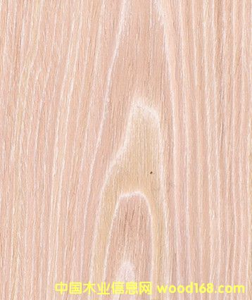 ˮϴɽ�y��ľ ˮϴ��ľƤ�Ӱ� ľƤ�S�ҵ�Ԕ����B