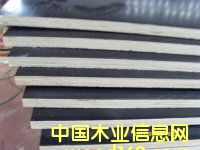 ����ģ���Ԕ����B