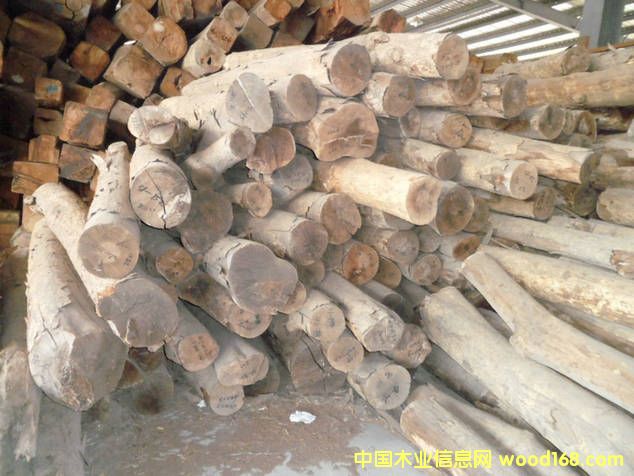 ���r��z骵�Ԕ����B