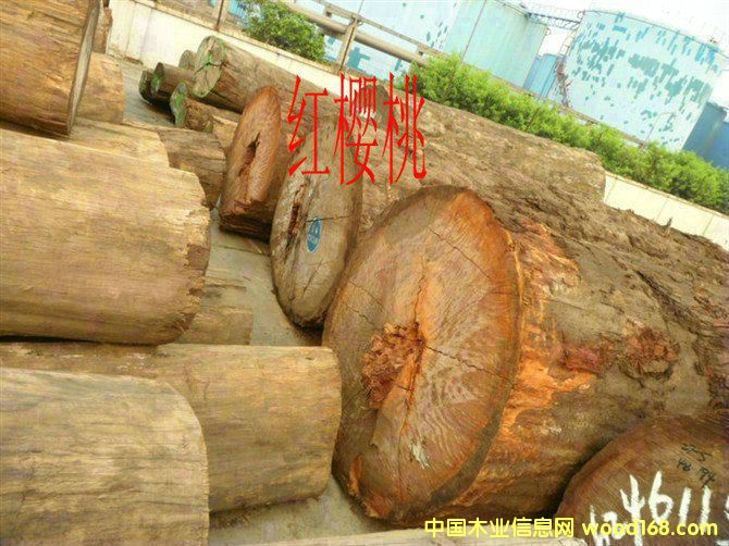 �t���ҵ�Ԕ����B